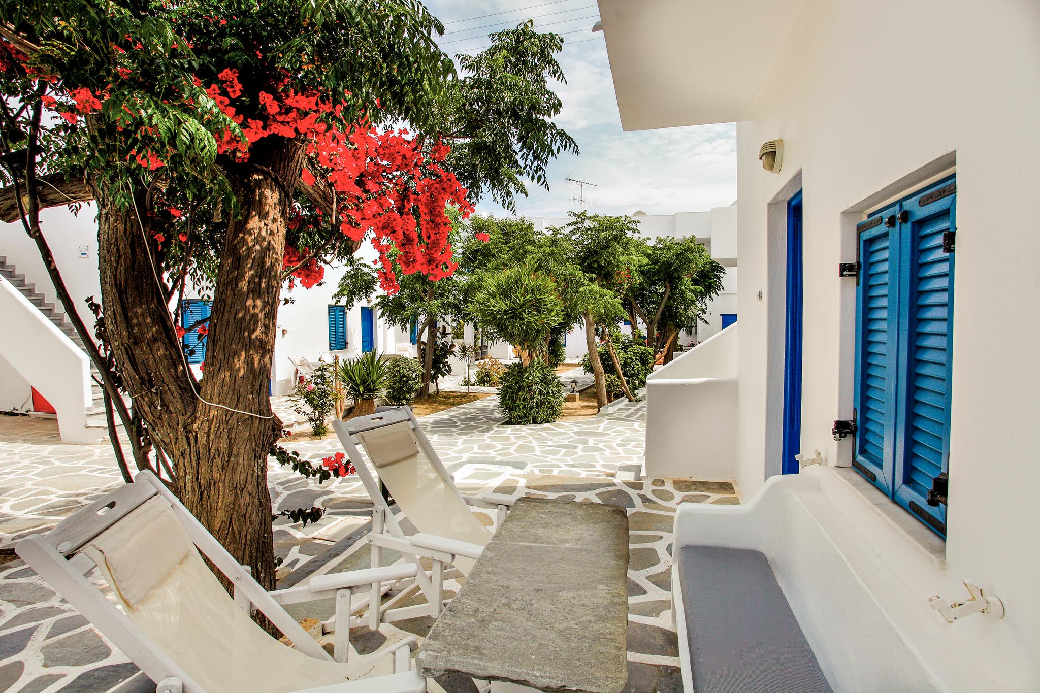 Acrogiali Beachfront Hotel Mykonos Platys Gialos  Eksteriør billede