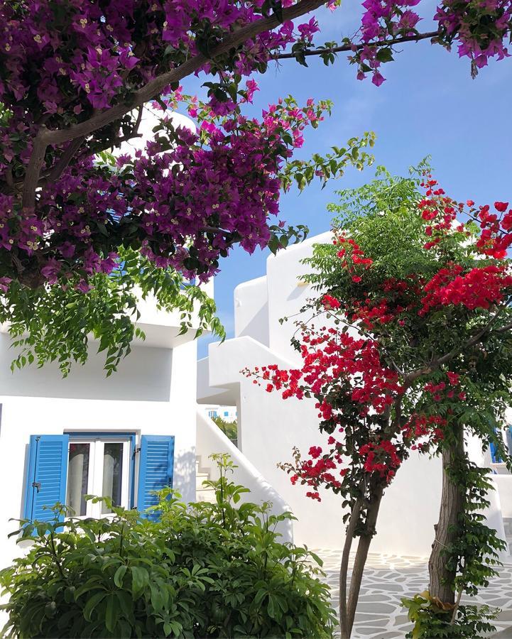Acrogiali Beachfront Hotel Mykonos Platys Gialos  Eksteriør billede