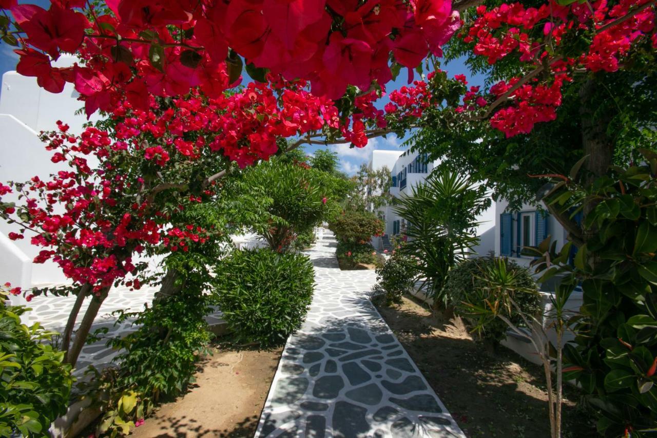 Acrogiali Beachfront Hotel Mykonos Platys Gialos  Eksteriør billede